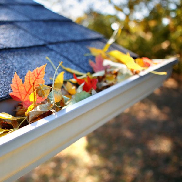 Gutter Cleaning Service Image Universal Window Cleaning