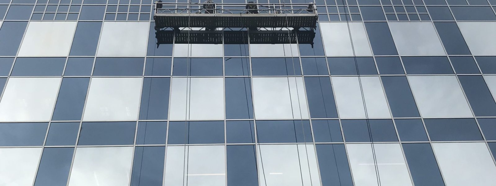 Universal_Window_Cleaning___IMG_13