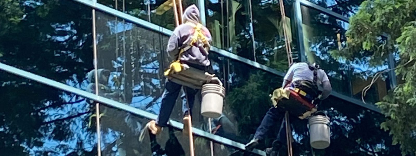 Universal_Window_Cleaning___IMG_40